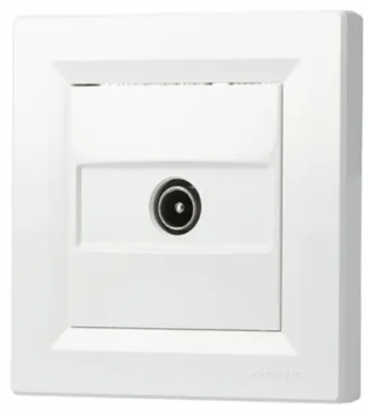 Schneider Asfora - TV Dose Durchgang